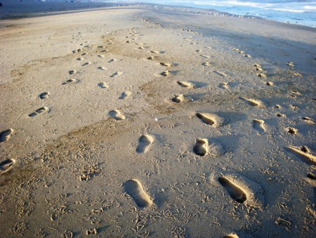 Caminhantes somos nesta vida 